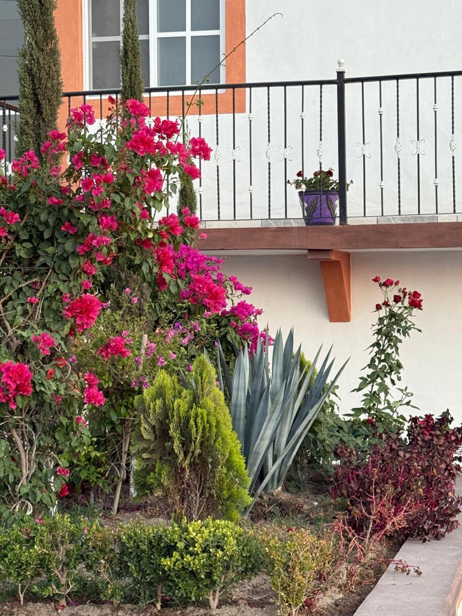 Hotel La C San Jose Iturbide المظهر الخارجي الصورة